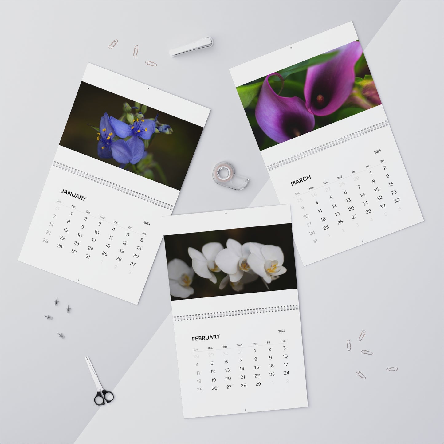 2024 Flower (Wall Calendar)