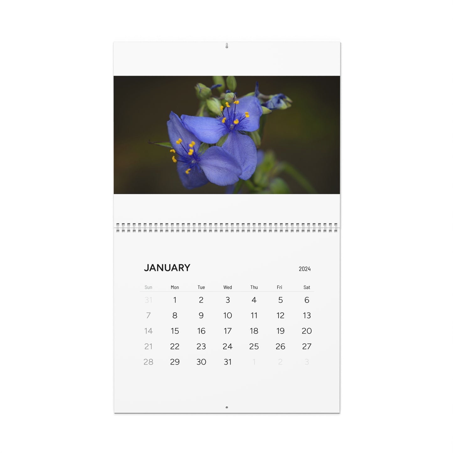 2024 Flower (Wall Calendar)