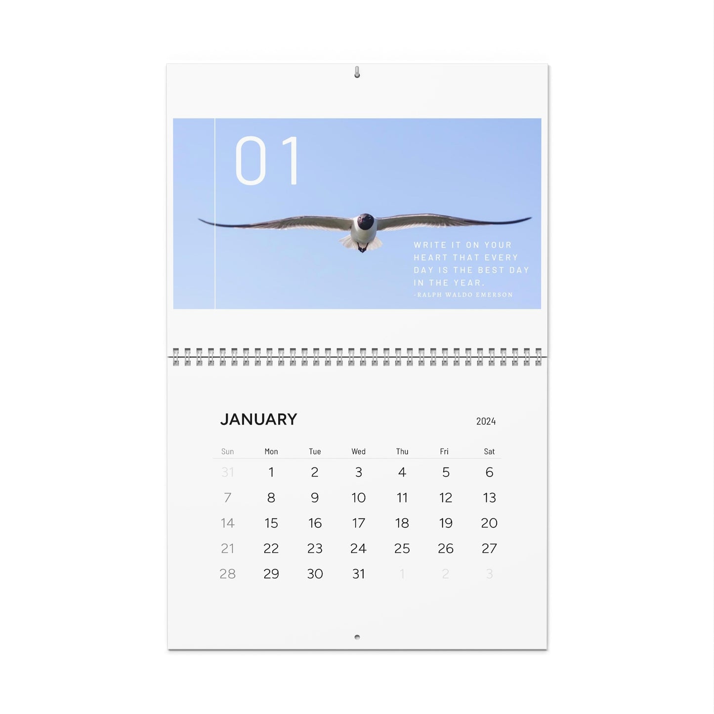 2024 North Carolina - Birds (Wall Calendar)