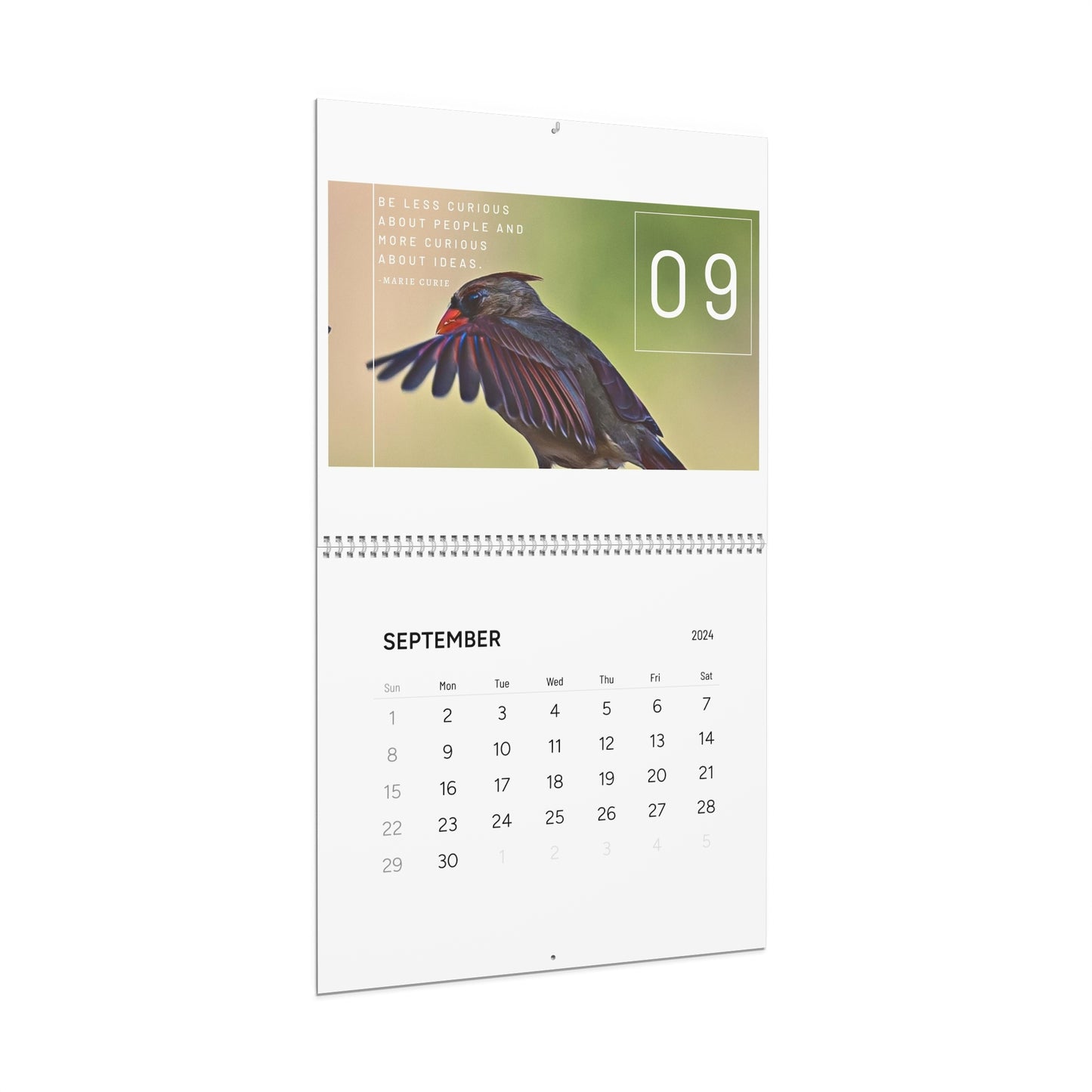 2024 North Carolina - Birds (Wall Calendar)